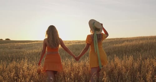 Two Cute Blondes are Walking Through a Wheat Field at Sunset