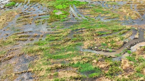 The aerial view captures the diverse soil conditions.