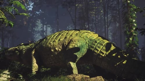 Crocodile se déplaçant dans une forêt dense à la lumière du petit matin