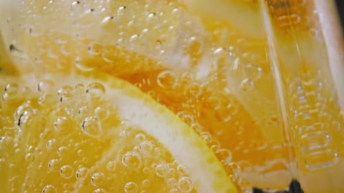 Refreshing Sliced Citrus in Bubbly Drink