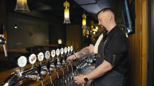 The Bartender Professionally Pours Beer on the General Plan