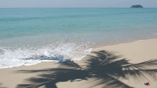 de petites vagues de l'océan tropical tapissent le rivage de sable blanc avec l'ombre d'un palmier et l'île en arrière-plan