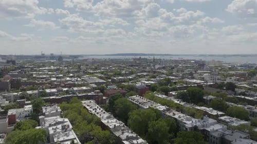 Flying over the tree-lined streets of Cobble Hill in Brooklyn