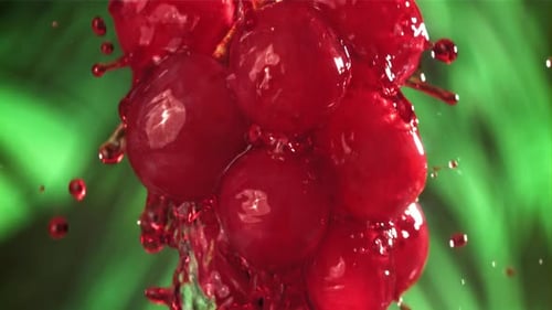 Rotwein läuft über einen Ast einer Traube, gefilmt mit einer Hochgeschwindigkeitskamera mit 1000 Bildern pro Sekunde