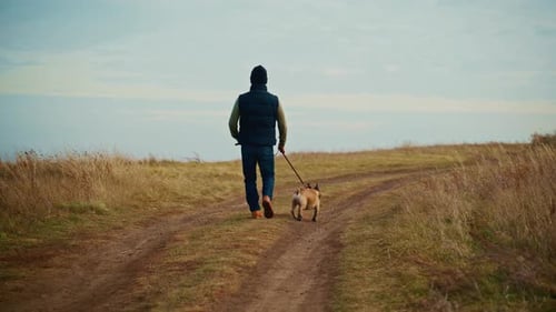 A Serene Moment Featuring a Person and Their Dog Walking Together Along a Picturesque Path
