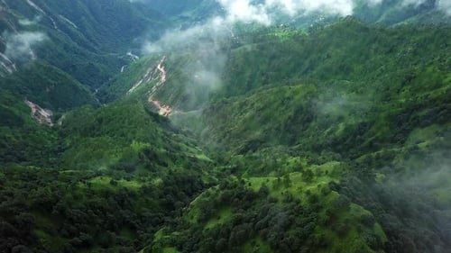 Experience the Breathtaking Beauty of Lush Green Mountains Shrouded in Misty Clouds Stock Clip