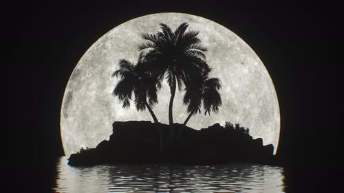 Black And White Landscape With Moonlight And Palm Island