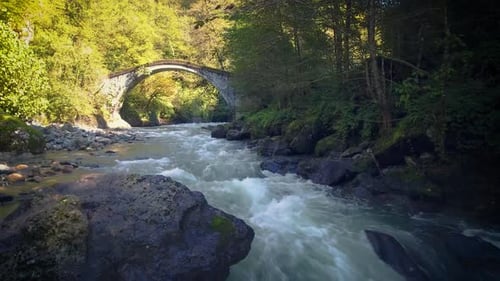 Stream and Stone Arch Bridge