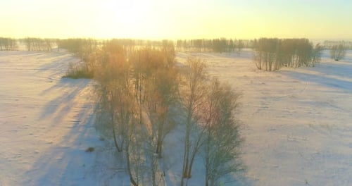 Aerial Drone View of Cold Winter Landscape with Arctic Field Trees Covered with Frost Snow and