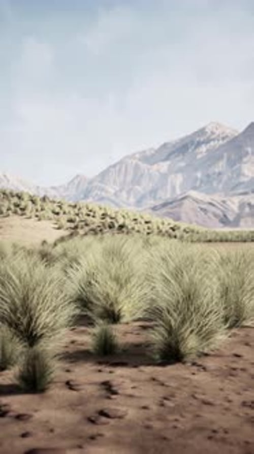 Arid Desert Landscape With Distant Mountains