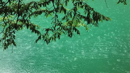 Raindrops Create Rippling Patterns on a Tranquil Pond