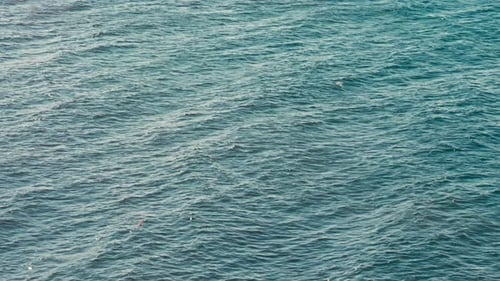 Sea