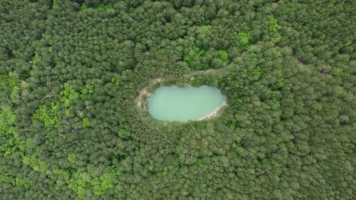 Luftsee im Wald