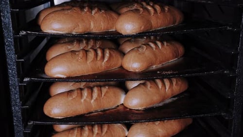Frische Brote backen im Industrieofen Bäcker arbeiten