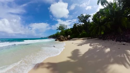 Sandy Beach with Palm Trees and Waves Under Blue Sky Seychelles Mahe
