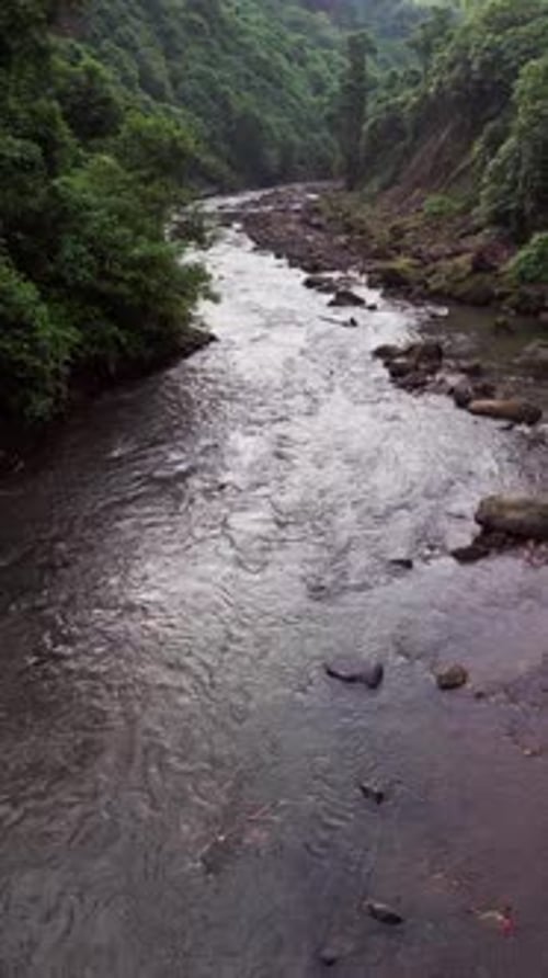Vertical Aerial Footage of Calm Tropical River Flowing Through Lush Jungle Valley in Bali
