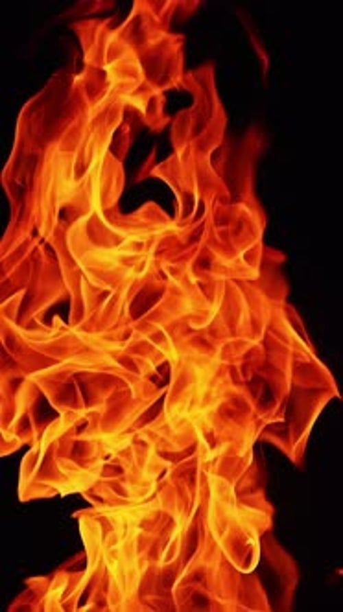 Long fire flame rising up. Burning bonfire in the darkness isolated close up. Vertical video