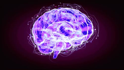 Animation of neurons. Nerve cells Activity in the Brain