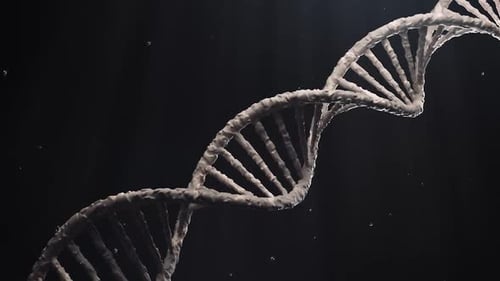 Illuminated DNA Double Helix Structure