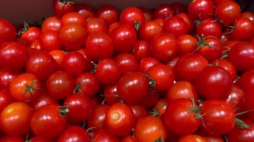 Macro Texture Cherry Tomato, Slider Shot