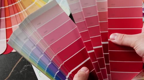 Color Pallet Choosing the Color By Designer Furniture Real Estate or Construction Works Creative