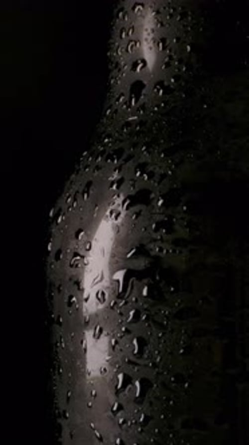 Vertical of Beer Bottle with Drops of Water
