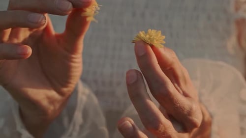 Hands Gently Removing Petals from a Yellow Flower