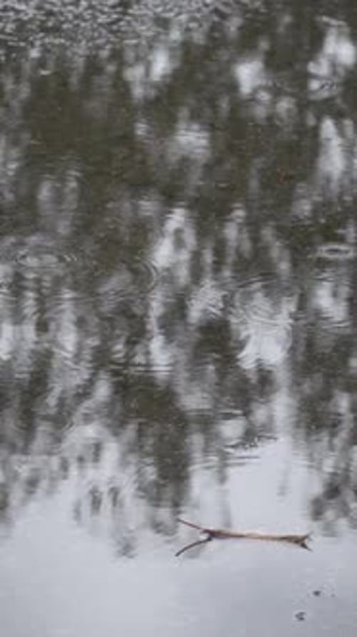 Water puddle in rain, drops creating ripples, vertical video in slow-motion