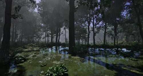 Misty Forest Landscape with Serene Water Reflections in Early Morning Light