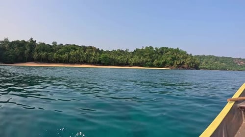 Tropical Island Coastline With Golden Sand Beach and Lush Palm Trees