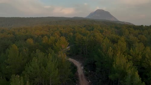 Aerial Top Down View of Gravel Road in Forest in the Autumn