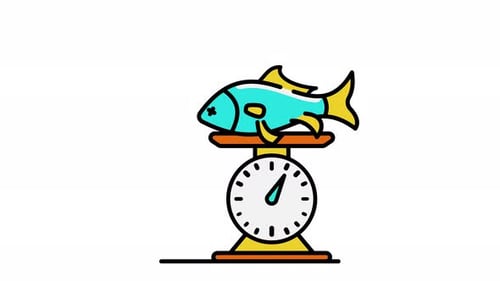 Animated Flat Design Fish Weighing on Kitchen Scale