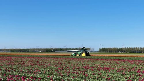 Farm Machinery Landscape Agricultural Equipment Amidst Colorful Blooming Fields Tractor and
