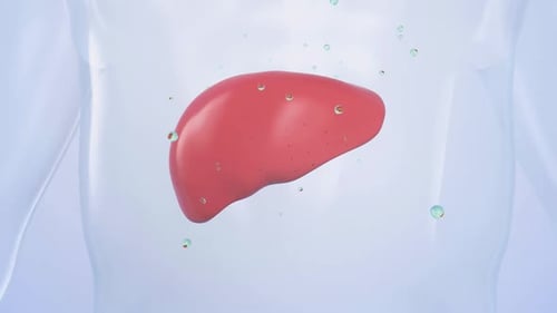 stages tumor growth in digestive system, Peptic Ulcer, Cancer attacking cell.