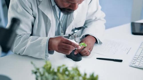 Researcher Examining Plant Specimen with Magnifier