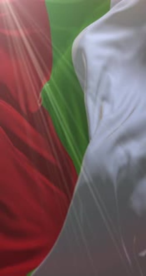 Vertical Waving Flag Animation With Red Green White Stripes