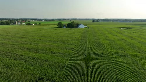 Vast green farmland in rural USA. Rows of crops stretch to the horizon with scattered barns. A white