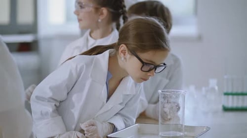 Children Learn Science in a School Classroom
