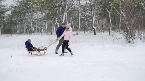 Family Pulls Sled Through Winter Forest