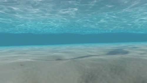 Clear Underwater Ocean Scene With Sunlight Reflections On Sandy Seafloor