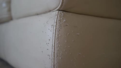 A leather sofa ruined by cat scratches, damaged area. A white and dirty leather sofa. Old leather so