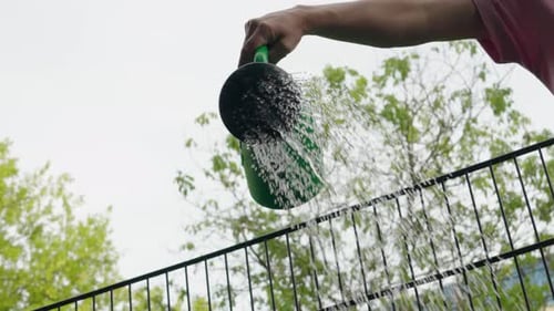 Watering newly planted grass in the garden on a sunny afternoon