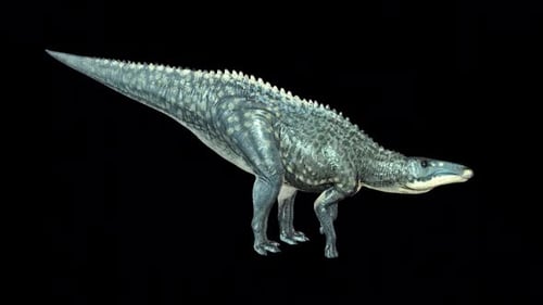 Shantungosaurus Dinosaur Drink 2