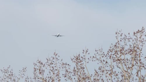 Airplane flying overhead