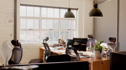 Empty modern office with computers, plants in pots and big window