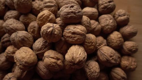Pile of Walnuts in Shell Rotating
