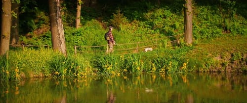 View on Man Walks with Dog in Park Near Lake at Sunset Animal Dog Runs Through Path Nature Green