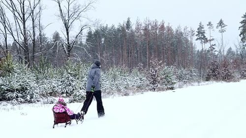 Dad rides a little daughter on a sleigh in slow motion in the winter forest during snowfall