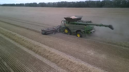 Combine on the field harvesting wheat