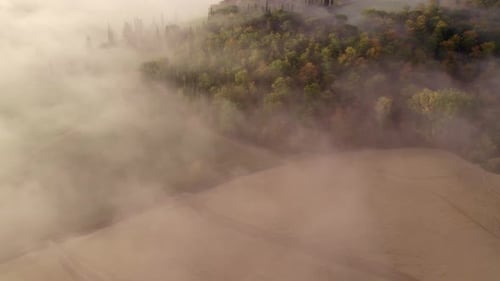 Aerial view of foggy countryside at sunrise, Italy.